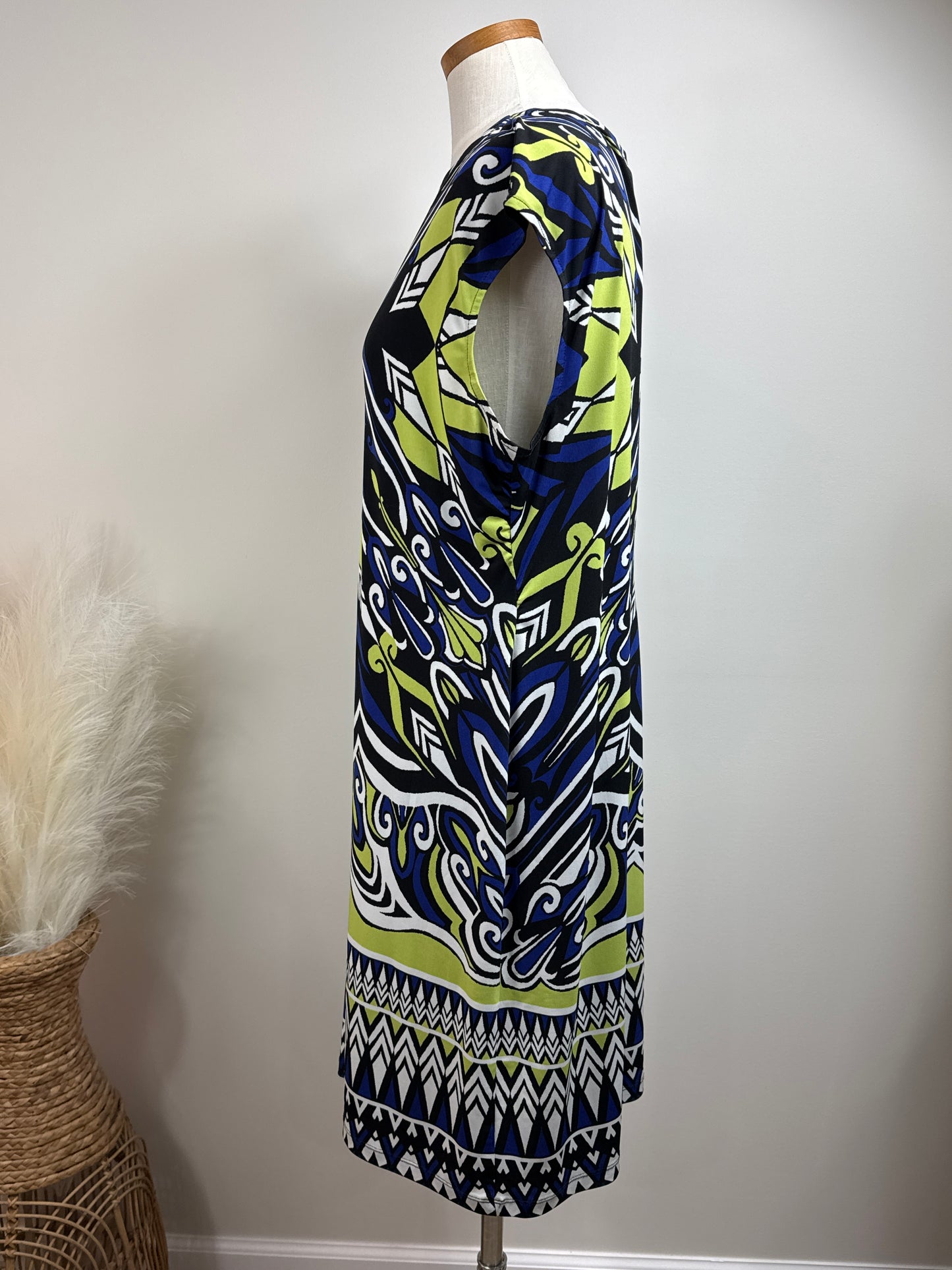 Size 3 Travelers Print Dress